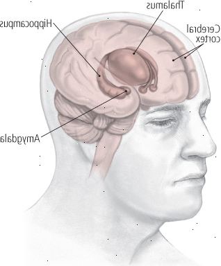 Las áreas del cerebro afectadas por la depresión