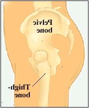 Vista lateral de la cadera derecha
