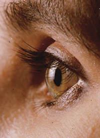 Imagen de un ojo, de cerca, externa