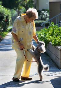 Imagen de una mujer mayor que paseaba a su perro