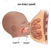 Ilustración de la lactancia materna, la prensión