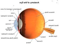 Anatomía del ojo, en la residencia