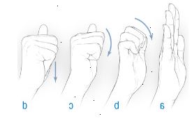 La mano / dedo del tendón de planeo