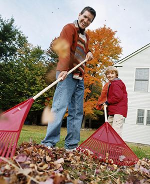 Aire libre, rastrillar, trabajar en el jardín, otoño, hojas