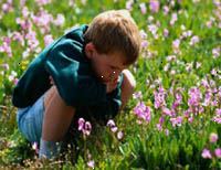 Fotografía de un niño sentado en un campo de flores silvestres
