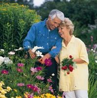 Foto de una pareja de ancianos en un jardín